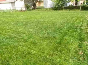 London L.'s Lawn Care service result