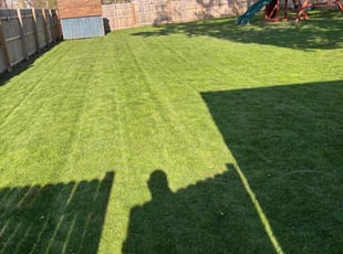 Shane S.'s Lawn Care service result