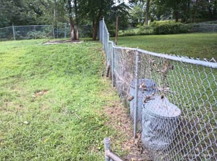 Weeding by Lamonee Jackman for Jared D. in Omaha, NE