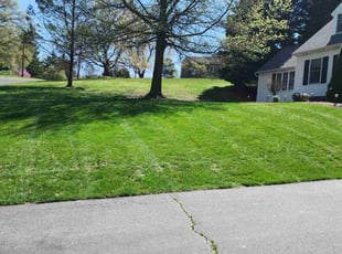 Charles .'s Lawn Maintenance service result