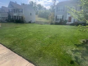 Leah W.'s Lawn Maintenance service result