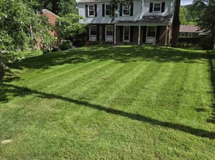 Lisa Y.'s Lawn Care service result