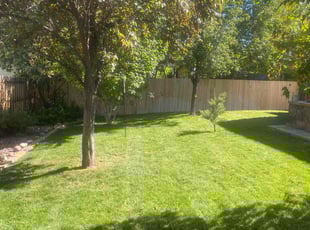 Maurice G.'s Lawn Service service result