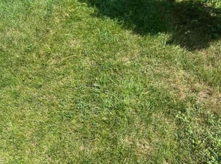 Landscaping by Harry Russell for gerald n. in Berwyn, IL