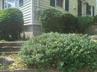 Weeding by Patrick Stephan for Alberta L. in Lowell, MA