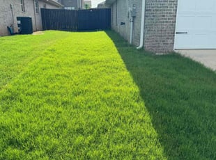 Andreana D.'s Lawn Mowing service result