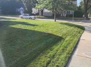 Jon L.'s Lawn Mowing service result