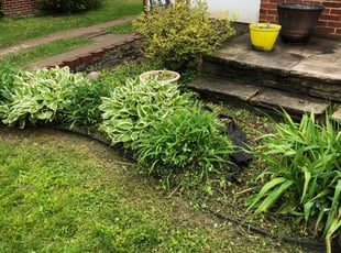 Weeding by Howard Jeffrey for Stefanie B. in Toledo, OH