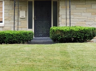 Bush Trimming by John Bouwman for Carmen S. in Grand Rapids, MI