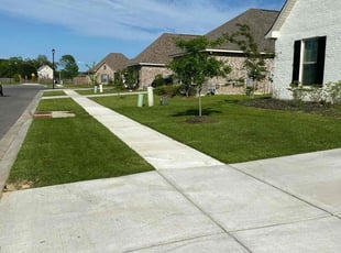 Joe M.'s Lawn Maintenance service result
