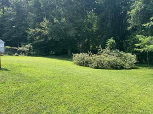 Steve S.'s Lawn Care service result