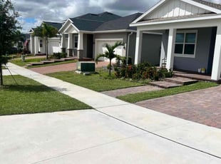 Pina B.'s Lawn Care service result