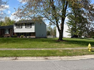 Geneveve B.'s Lawn Mowing service result