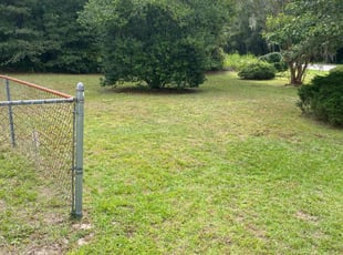 Olivia B.'s Lawn Care service result