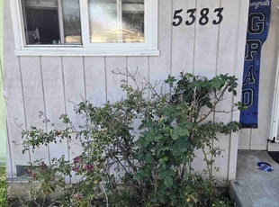 Bush Trimming by Christopher Lim for Jesse F. in San Jose, CA