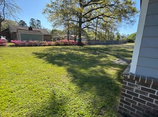 Judy T.'s Yard Cutting service result