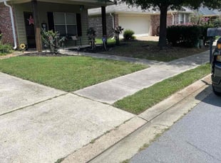 Cylia L.'s Lawn Care service result