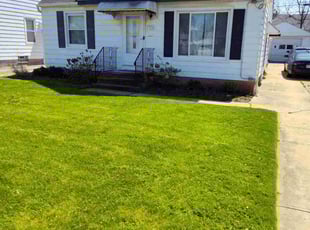 Ayanna A.'s Lawn Mowing Service service result