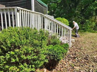 Bush Trimming by Ivy Hannah for Lucretia S. in Hamilton, NJ