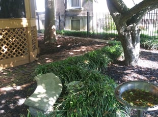 Leaf Removal by Chris Slone for Marla W. in Louisville, KY