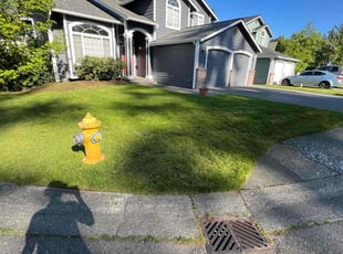 Raj C.'s Grass Cutting service result
