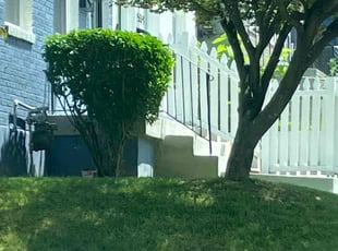 Bush Trimming by Olson Parker for Eliyaim G. in Washington, DC