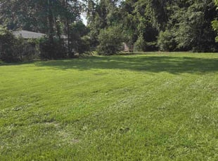 Justus C.'s Yard Cutting service result