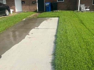 Stephanie D.'s Lawn Mowing service result