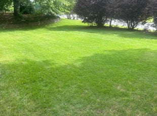 Lollie J.'s Lawn Care service result