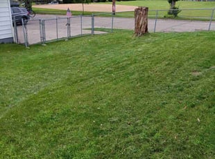 Hoon K.'s Lawn Mowing service result
