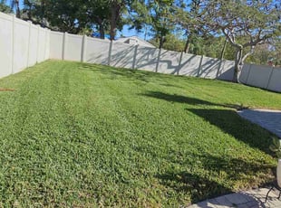 Collins M.'s Yard Cutting service result