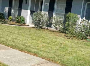 Bush Trimming by Terry Felo for Sandra L. in Gretna, LA