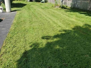 Linda N.'s Lawn Care service result