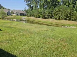 Catherine P.'s Lawn Mowing Service service result