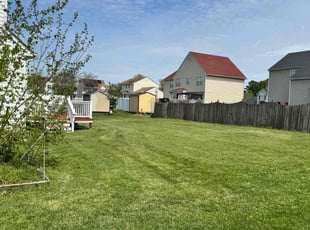 Tammy M.'s Grass Cutting service result