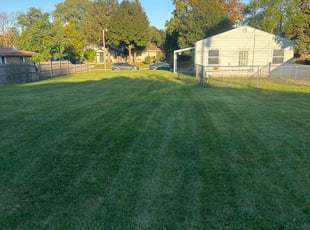 Angela W.'s Yard Cutting service result