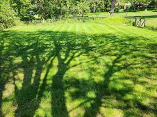 Kristen L.'s Lawn Care service result
