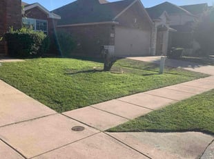Pamela G.'s Yard Cutting service result