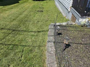 david w.'s Lawn Maintenance service result