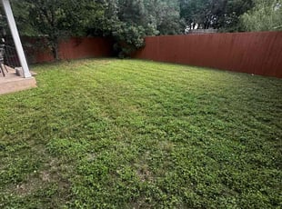 Cleanups by Spencer Reed for Debra M. in Leander, TX