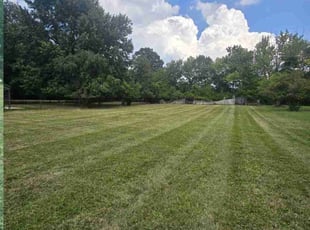 Cynthia C.'s Lawn Maintenance service result