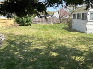 Linda W.'s Yard Cutting service result