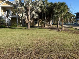 Saovapa P.'s Lawn Care service result