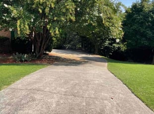 Ernest C.'s Yard Cutting service result