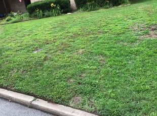 Bush Trimming by Paul Handley for Kelly T. in Broken Arrow, OK