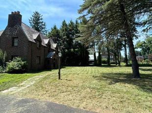 Joni W.'s Grass Cutting service result