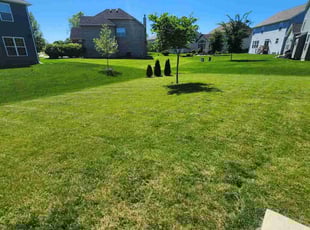 Morgan S.'s Lawn Service service result