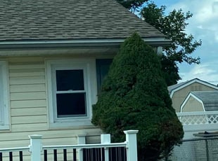 Bush Trimming by Dave/Ethan Niedrist for Tricia W. in Burlington, NJ