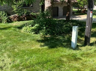 Leaf Removal by Josh Peterson for Tom L. in Fitchburg, WI