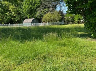Bush Trimming by logan ballard for Deborah P. in Charlotte, NC